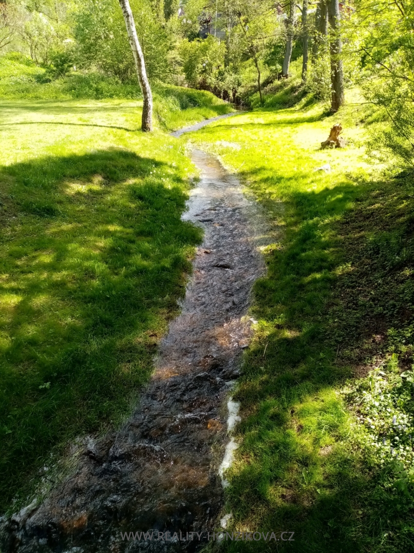 Prodej, rekreační chata, Štěnovický Borek