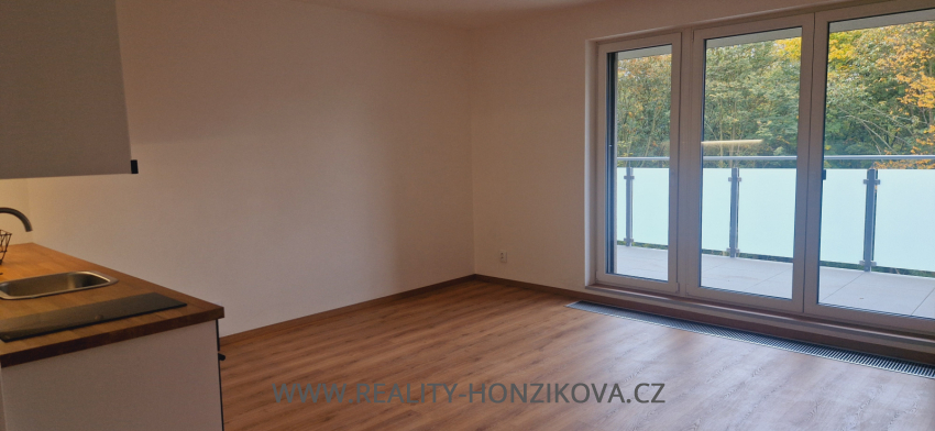 Pronájem, byt 1+kk+L, 44,82m2, ul. Heyrovského, Plzeň - město