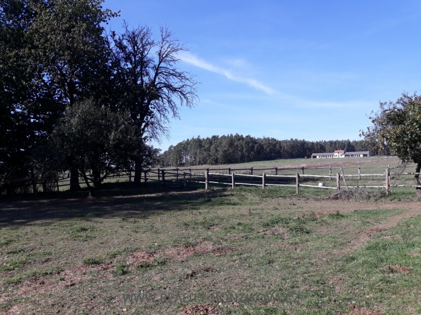 Prodej, pozemek pro bydlení, 1679m2, Hašov, okres Domažlice