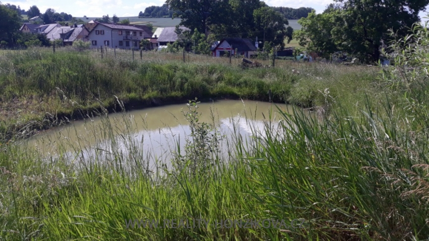 Prodej, rodinný dům, Slavíkovice, okres Klatovy